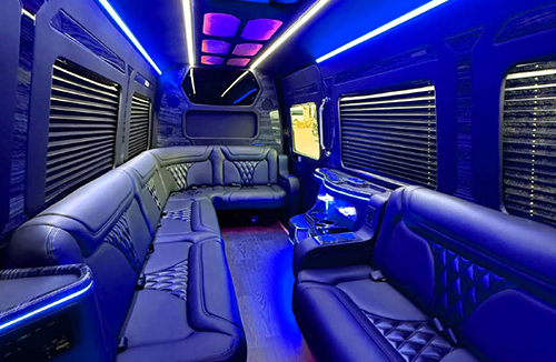limousine van with room for 10 passengers